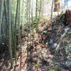 本丸東石垣・土塁の北側