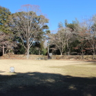 本丸内部と北側高土塁と石垣