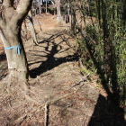 本丸東石垣・土塁上を南より北に眺める