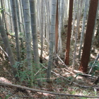 ２号竪堀南の丸西下