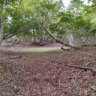 本郭内を虎口から見る