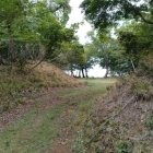 南の虎口と土橋