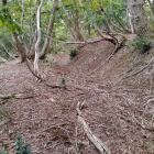 本郭周りの横堀