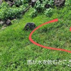 馬屋曲輪の馬が水を飲む所