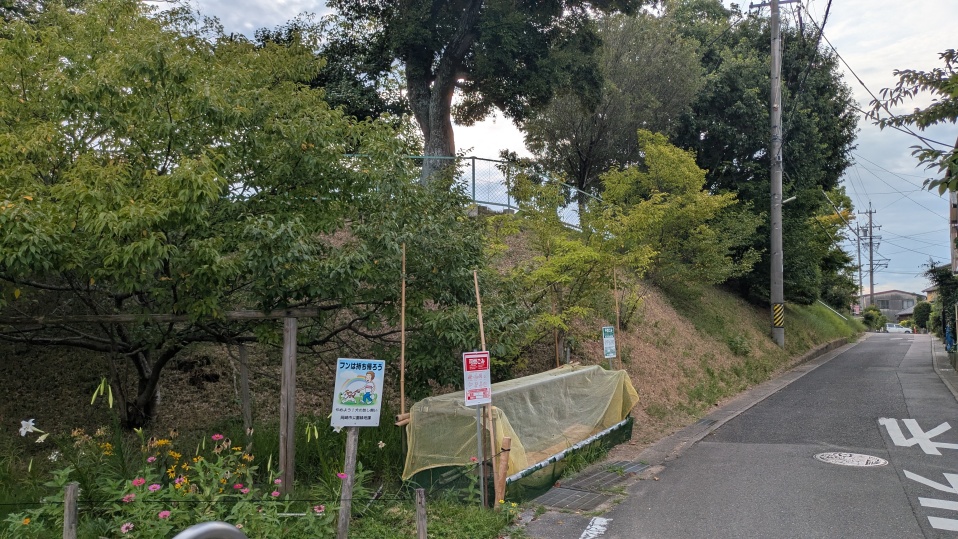 城山公園への道