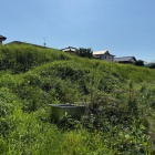 三の丸北東側 土塁