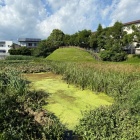 三の丸南西側 三之堀、奥に土塁