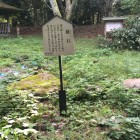 虎口鏡石