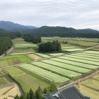 展望台からの眺望
