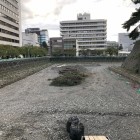 内堀