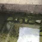 石垣跡