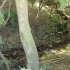 主郭北西角部下の石垣