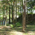 主郭東側の土塁と大手虎口