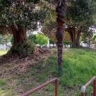 土塁(泉西公園)