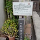 飯沼貞吉生家跡