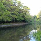 丹後沢（水堀）