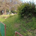 土塁(泉西公園)