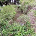 道路から見た水堀