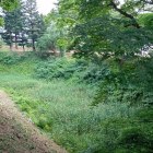 二の丸北東側の堀