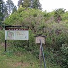 陣屋配置図周辺(草に埋もれていますが、説明板裏に水堀と土塁があります)