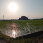 写真中央の林が北西隅櫓台