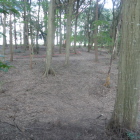 ケッターパークとして活用されている