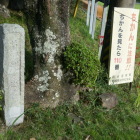 ちかん出るのかよ