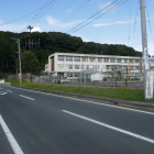 平成の馬防柵　背後は家康の陣