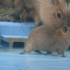 水に入って見る