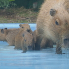 微妙に表情が違う