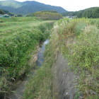 大宮川