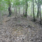 後世のものかなあ