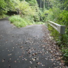 この分岐を右に