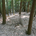 下る