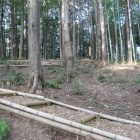 丘陵を上がって行く