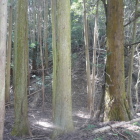 上にも陣地が広がっている