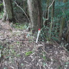 標柱がしょぼい