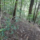 簡易的な腰郭？