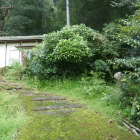 ここの右から出てきた