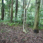 強右衛門上陸の地