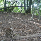 北西の尾根先の郭