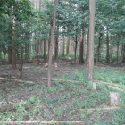 特に遺構は無い