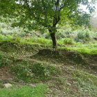 浅間山に向かう