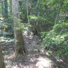 土橋が続く