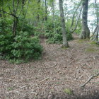 二郭への土橋？