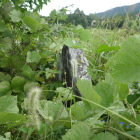 埋もれていく・・