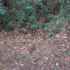 浅い堀のようなものが