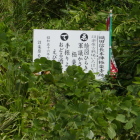 極楽寺跡