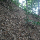 踏み代をのぼっていく