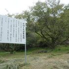 鑓畑と武田軍退路